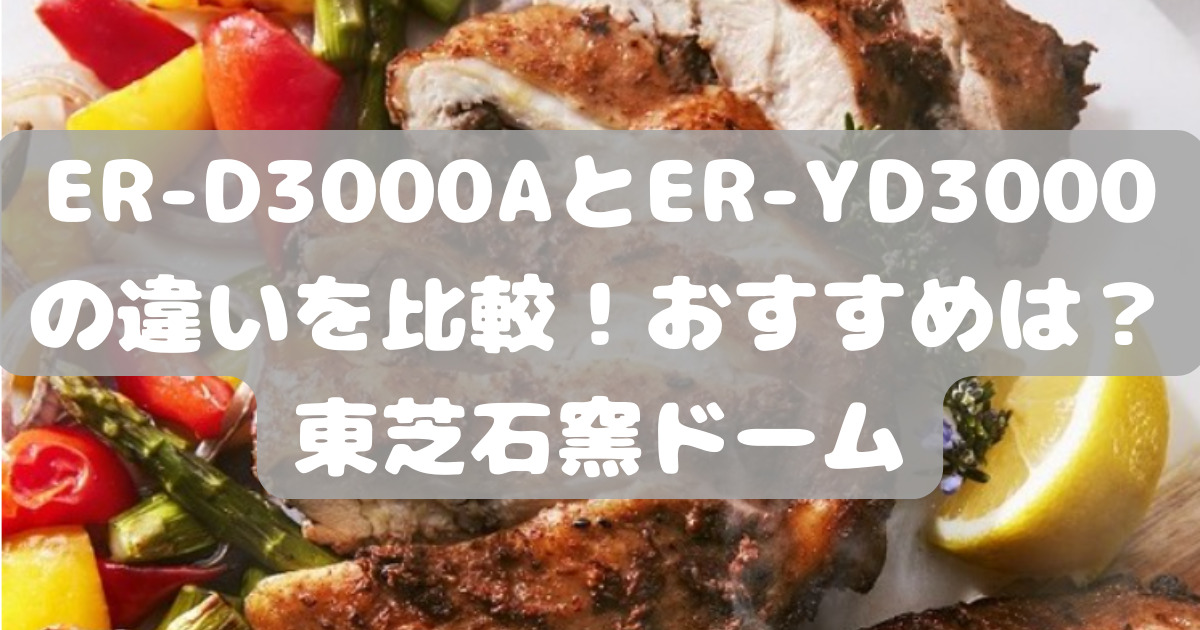 2024年7月発売 石窯ドーム東芝過熱水蒸気オーブンレンジER-D3000A 